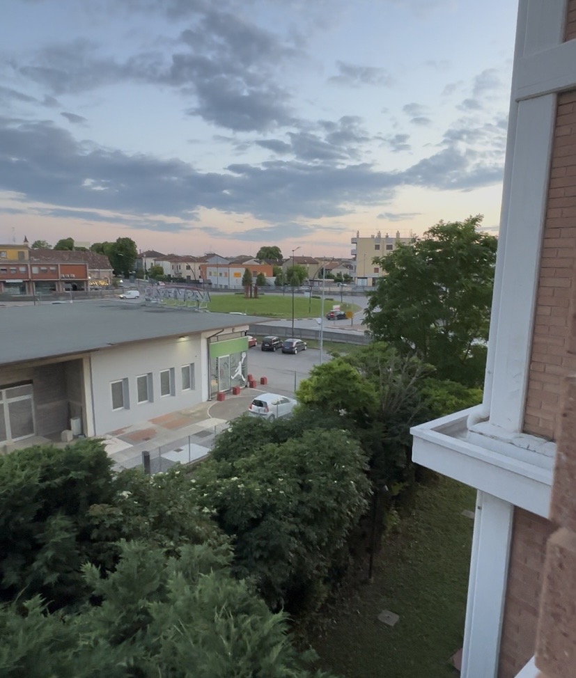 客室からの景色