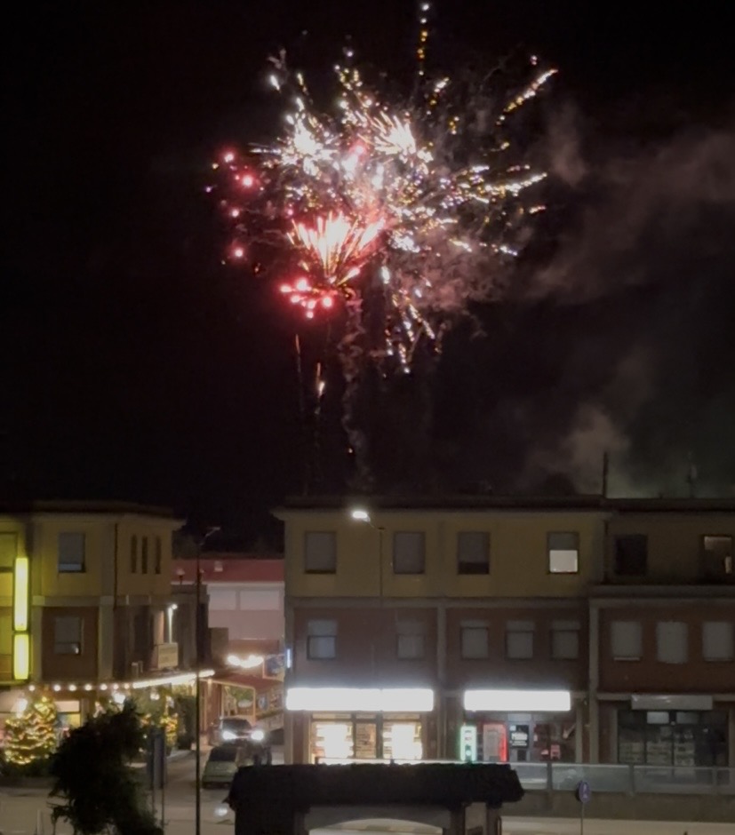 客室の窓から22時ごろに花火が見られた